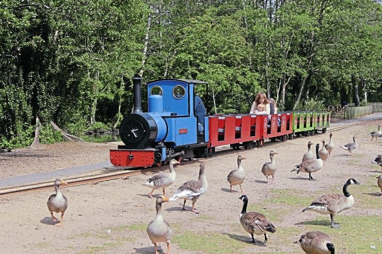 Poole Park future in doubt The Railway Magazine