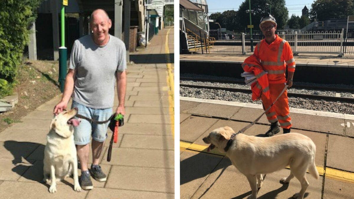 Railway engineers turned dog rescuers on West Coast main line
